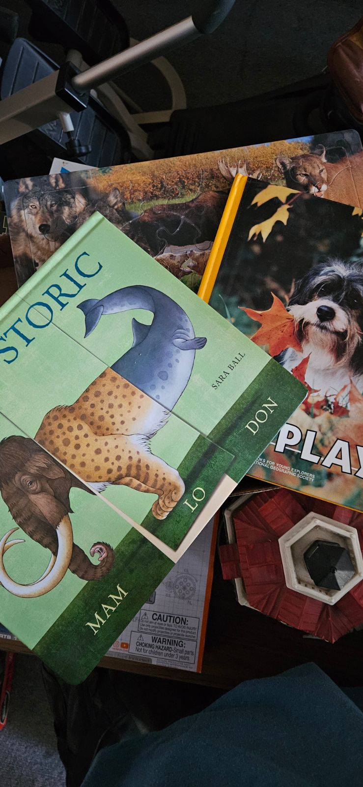 Children’s Books & Puzzle