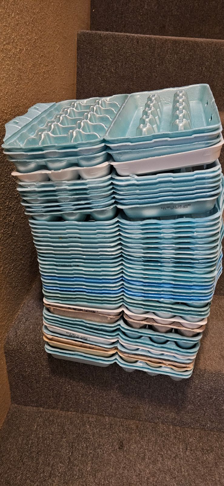 18 pak Egg Cartons